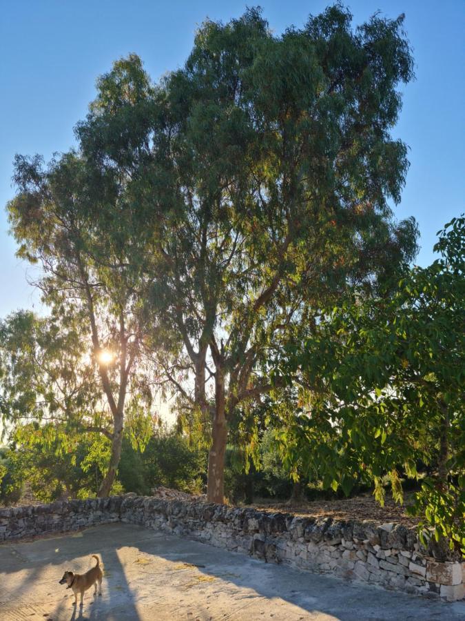 Trulli L'Utopia Di Anny Trulli Anny'S Utopia Locorotondo Zewnętrze zdjęcie